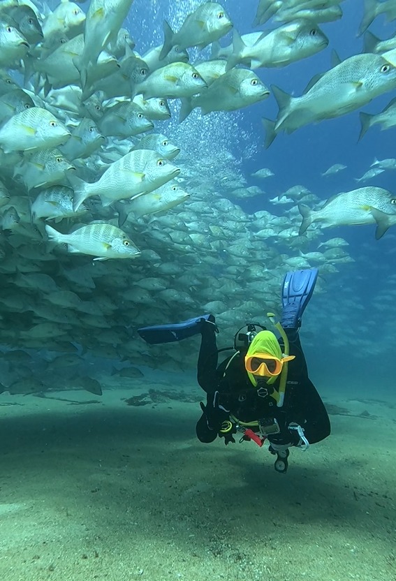 Buzo certificado explorando cabo pulmo durante expedicion SeaDivers